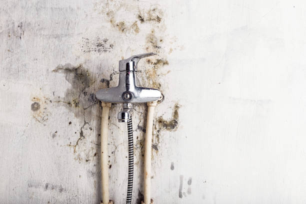 Best Office Mold Removal Services  in Richfield, OH