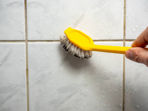 Home Mold Removal in Richfield, OH