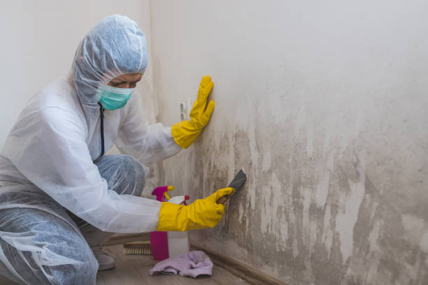 Best Mold Removal Process  in Richfield, OH