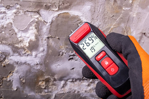Professional Mold Removal in Richfield, OH