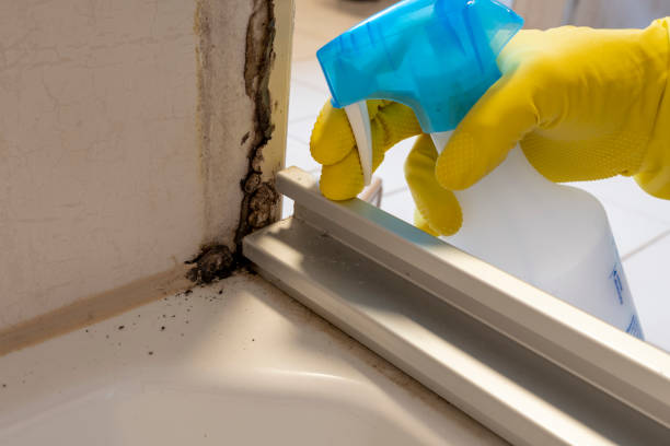 Best Affordable Mold Removal  in Richfield, OH