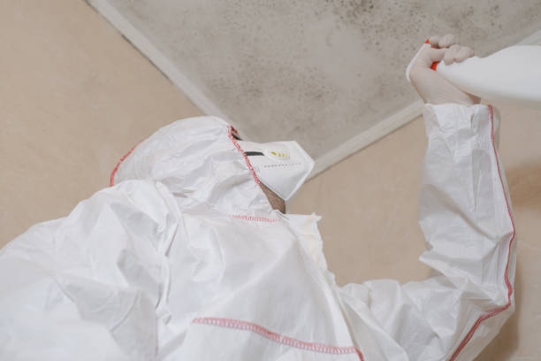 Best Emergency Mold Removal  in Richfield, OH